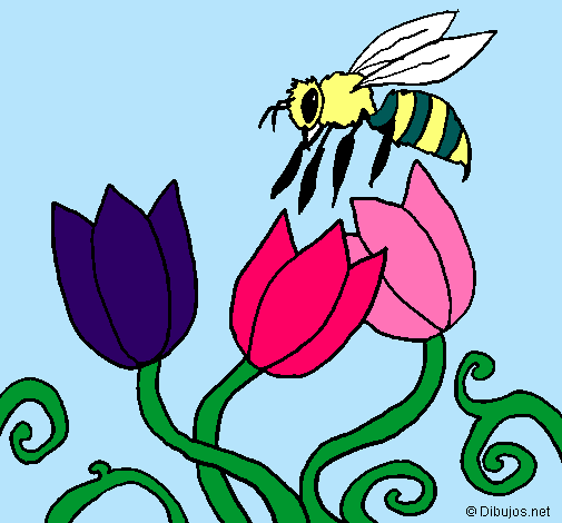 Abeja