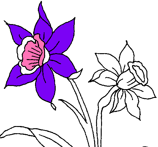 Dibujo de Orquídea pintado por Orquideas en  el día 01-09-10 a  las 23:03:58. Imprime, pinta o colorea tus propios dibujos!
