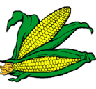 Dibujo Mazorca de maíz pintado por jimenalorenaalbertus