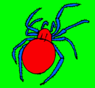 Dibujo Araña venenosa pintado por martin