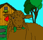 Dibujo Oveja comiendo una hoja pintado por ovejo