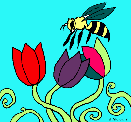 Abeja