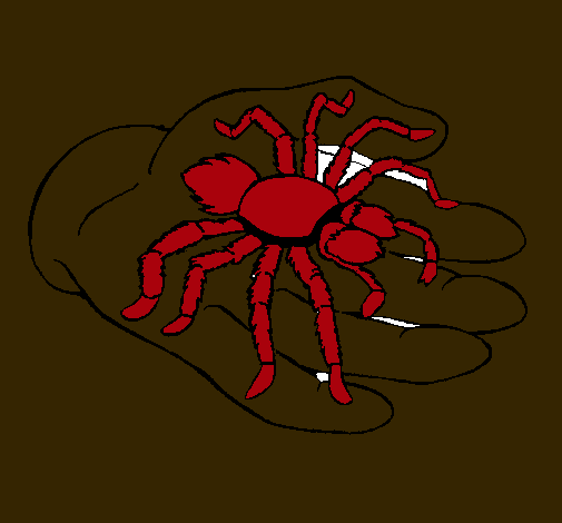 Tarántula