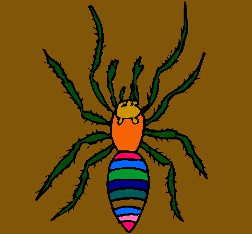 Araña tigre