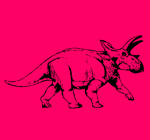 Triceratops