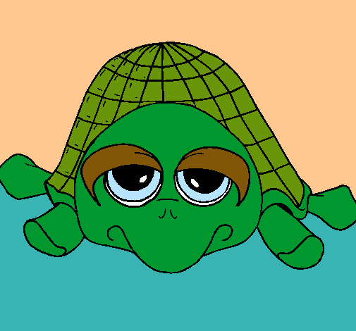 Tortuga