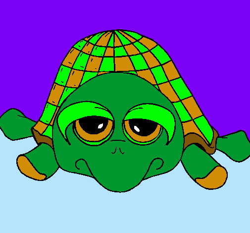 Tortuga