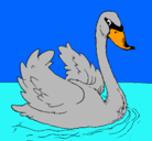 Dibujo Cisne en el agua pintado por laia