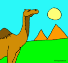 Dibujo Camello pintado por pataslargas
