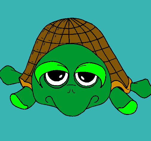 Tortuga