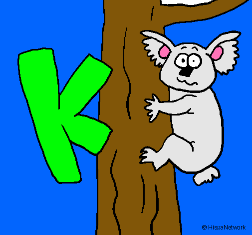 Koala