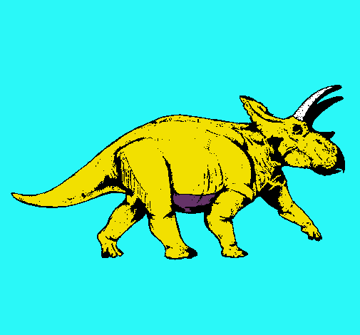 Triceratops