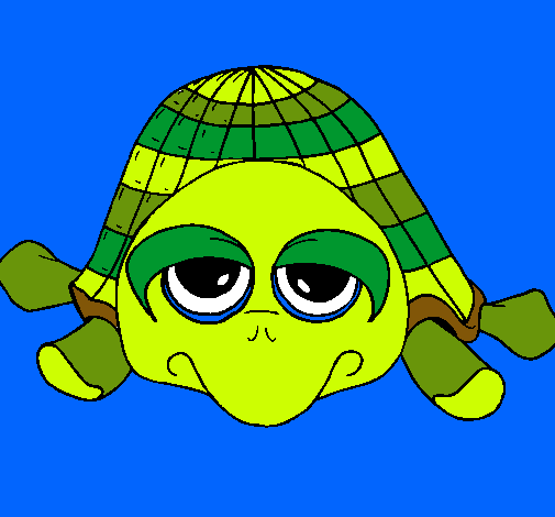 Tortuga