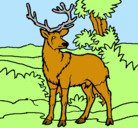 Dibujo Ciervo adulto pintado por martagomez