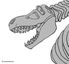 Dibujo Esqueleto tiranosaurio rex pintado por tomas