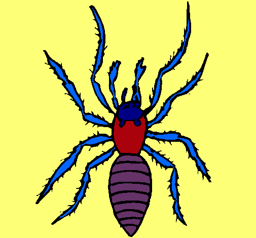 Araña tigre