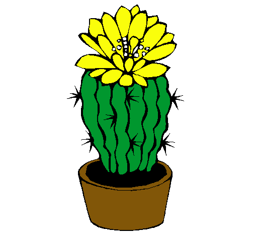 Cactus con flor