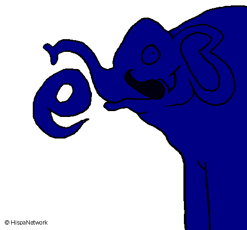 Elefante