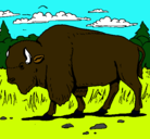 Dibujo Búfalo  pintado por gallta