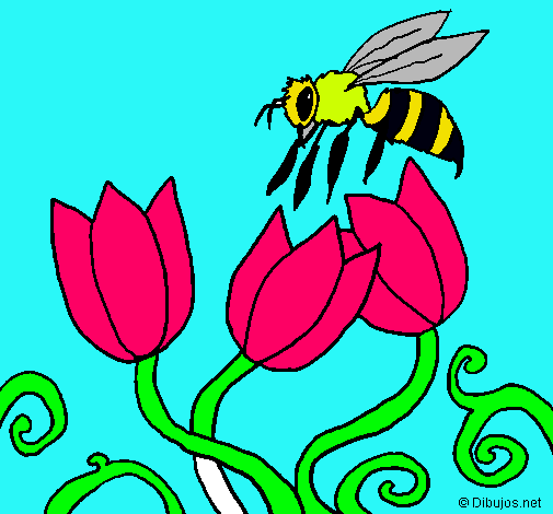 Abeja