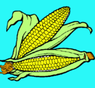 Dibujo Mazorca de maíz pintado por andreal.l
