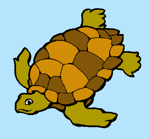 Tortuga