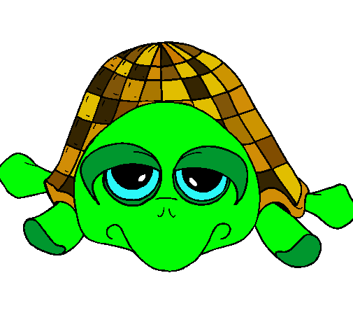 Tortuga