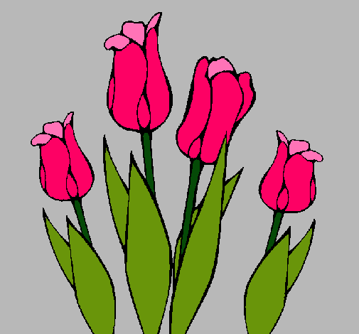 Tulipanes