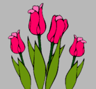Dibujo Tulipanes pintado por MARCELA