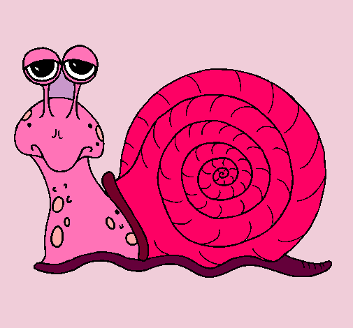 Caracol