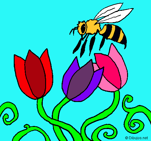 Abeja