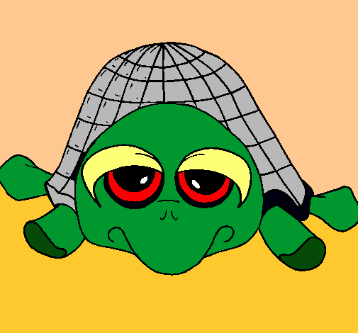 Tortuga