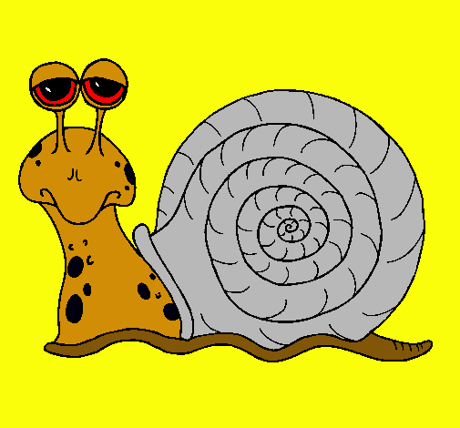 Caracol