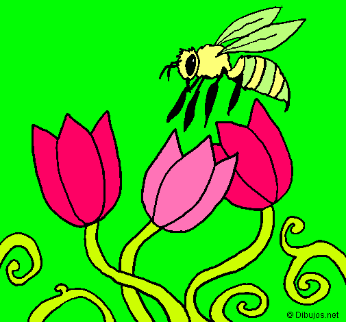 Abeja