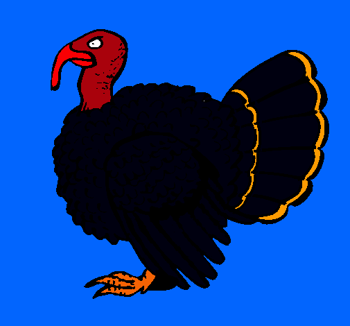 Pavo 