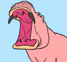 Dibujo Hipopótamo con la boca abierta pintado por santiago