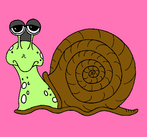 Caracol