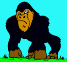 Dibujo Gorila pintado por ALEX