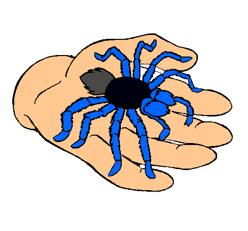 Tarántula