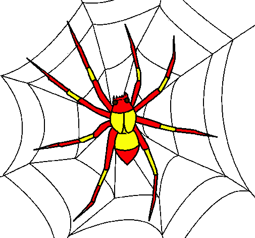 Araña