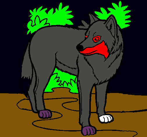 Lobo