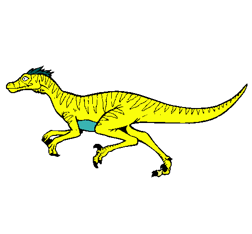 Velociraptor