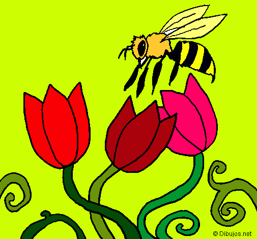 Abeja