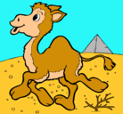 Dibujo Camello pintado por yisemd