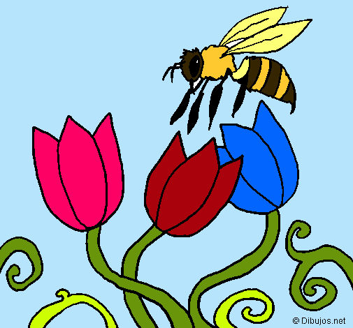 Abeja