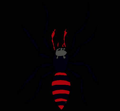 Araña tigre