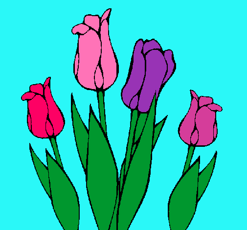 Tulipanes