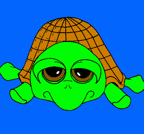 Tortuga