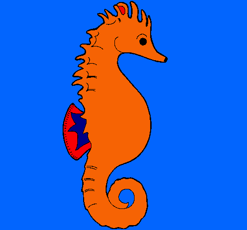 Caballito de mar