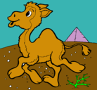 Dibujo Camello pintado por victor